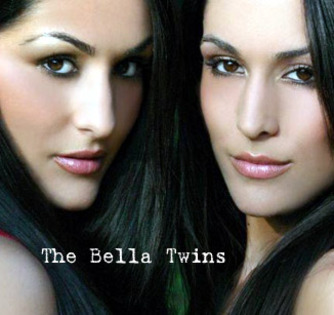 the-bella-twins-image - wwe