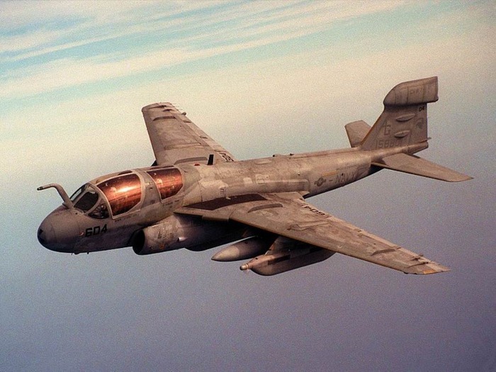 webshots414 - Animale