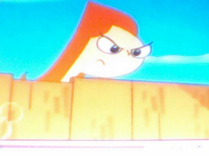 snapshot-147 - Pineas si Ferb