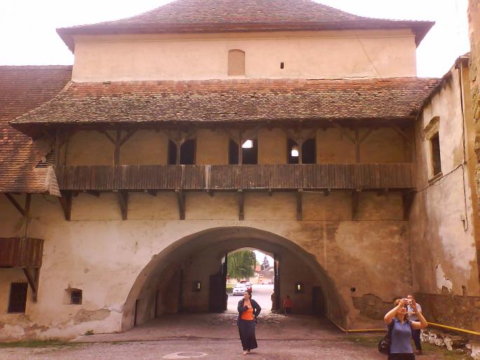DSC05556