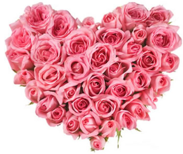 Trandafiri-Roz-pal-poza-t-P-n-inima roz - trandafiri
