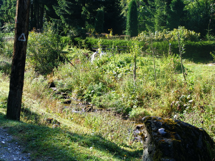 DSCF6259 - muntii Rodnei