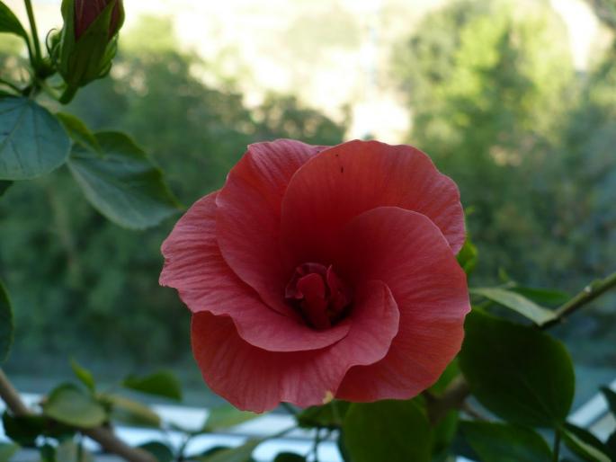 P1040150