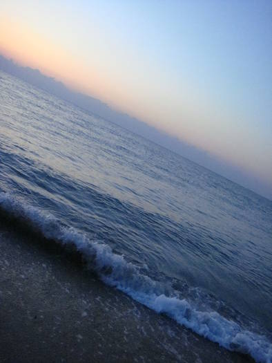 003 - rasarit 09 aug 2009