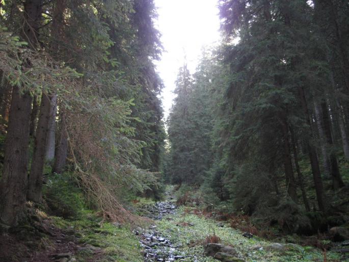 IMG_040 - Refugiu Condor 2007