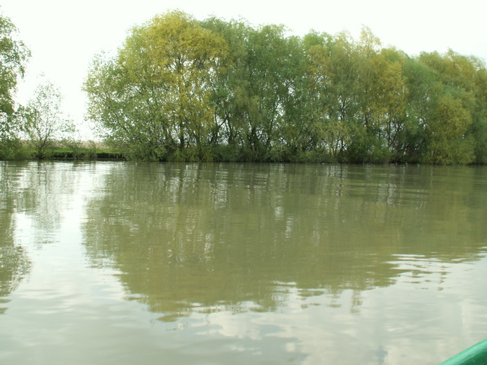 PICT0475 - POZE DELTA