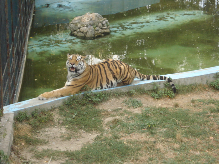 Picture 042 - zoo targoviste