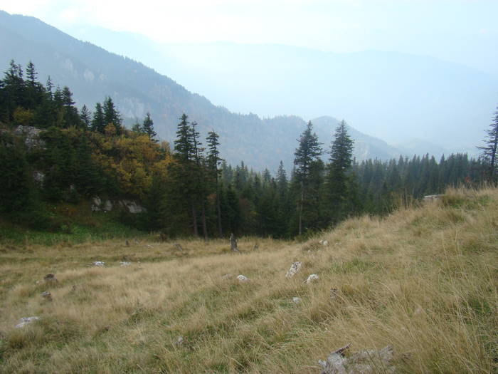 DSC00325