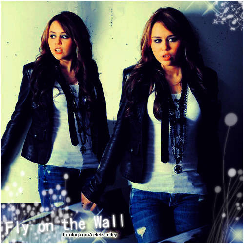3156828773_4ef8931ac5 - miley cyrus-fly on the wall