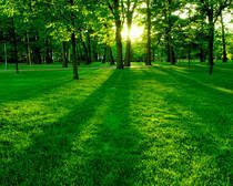 Green_Park