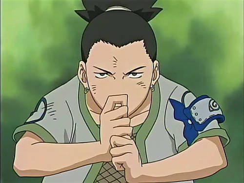 Shikamaru Nara - Concurs