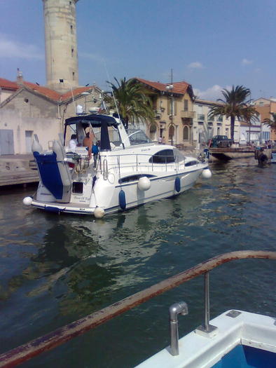 niste rude - ApiMondia