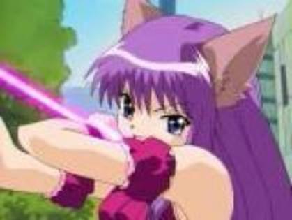 renee4 - mew mew power renne