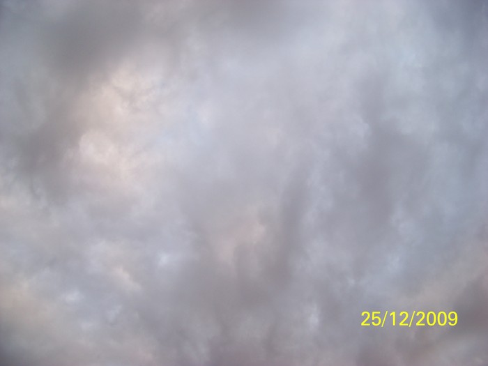 100_7869 - Sfarsit de decembrie 2009