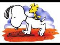 snoopy (31) - snoopy