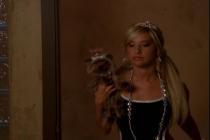 DSGROBMDNSPWYWUCBLM - ashley tisdale