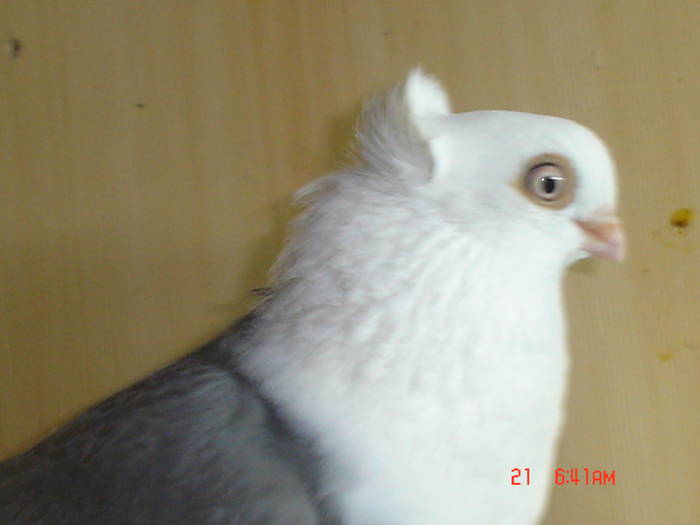 DSC02866