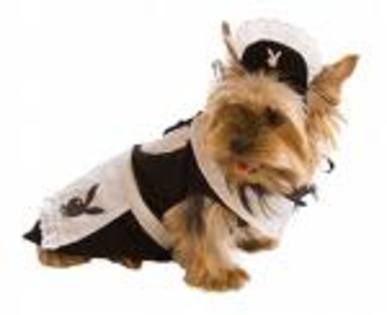 AYGKF45CAHUGTB9CADTZXZPCAH50XL0CAELHXXICASHR322CAXT8WVOCARY7VWFCAJTTRNFCA5POW05CA8ZS24DCA0YLSOUCAAB3