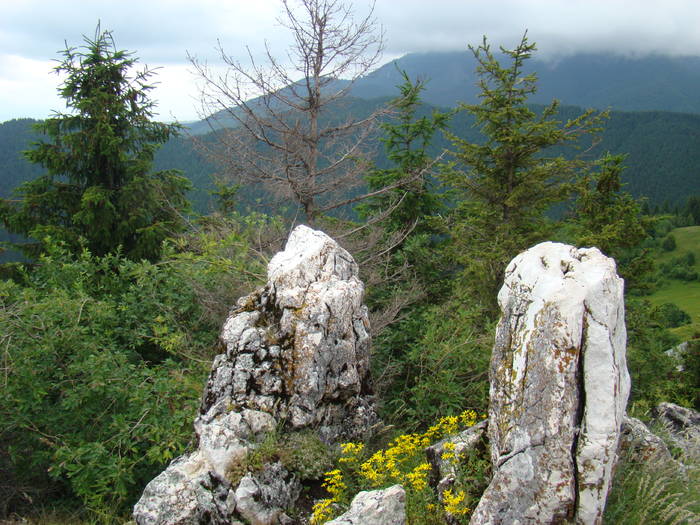 DSC03912 - Concediu 2009