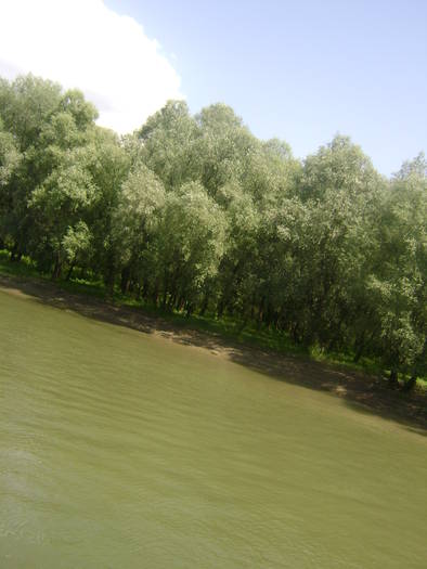 excursie delta dunarii 5062009 065 - EXCURSIE  in DELTA