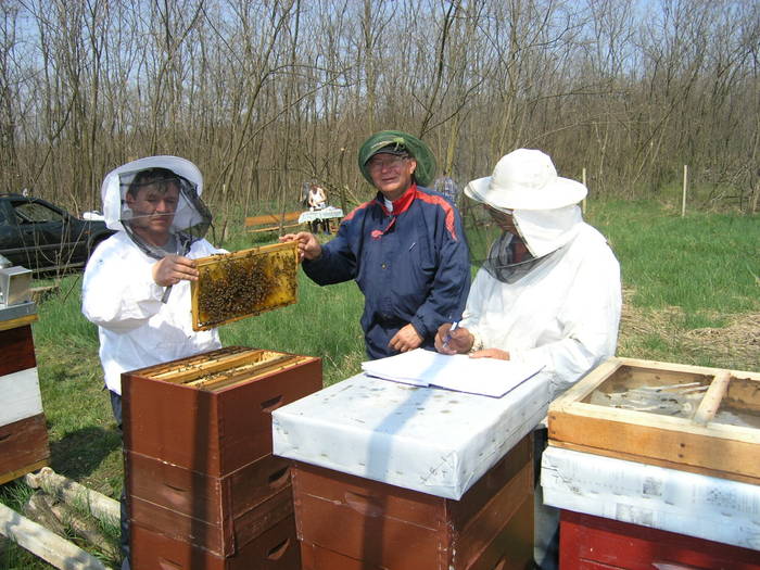 P4071963 - Carnica Banatica