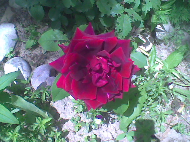 Imag023