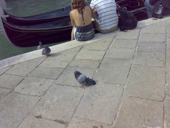250920081031 - 18j Venetia Italia