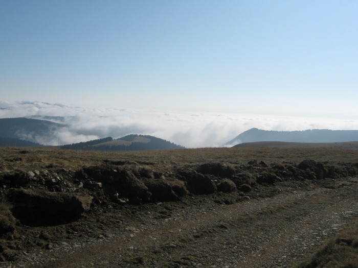 VARFUL URSU 25.10.2009 124