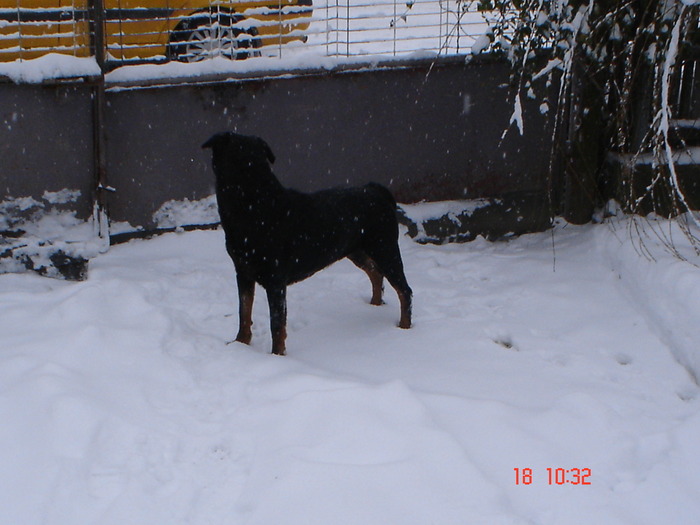 DSC08225 - Bella decembrie