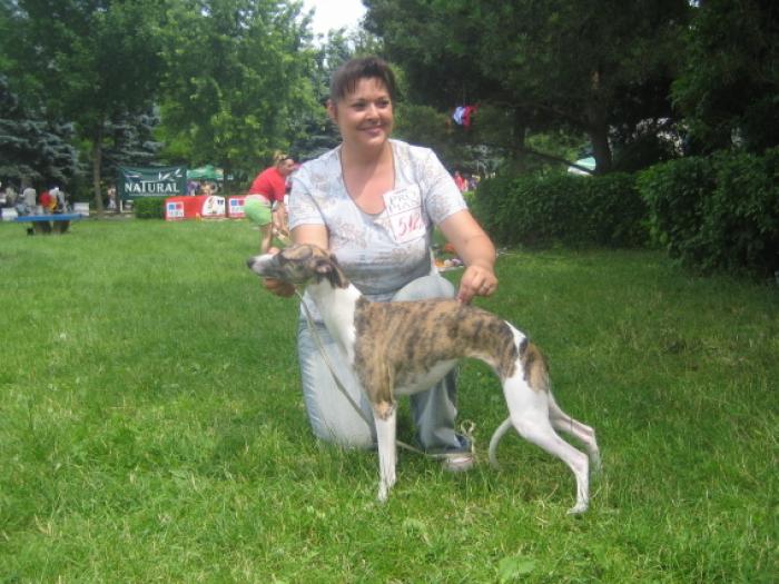 whippet DONA - WHIPPET Pozhar v Kremle Nochnaya Serenada