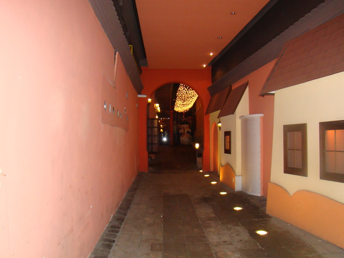 118 - vacanta dec 2009