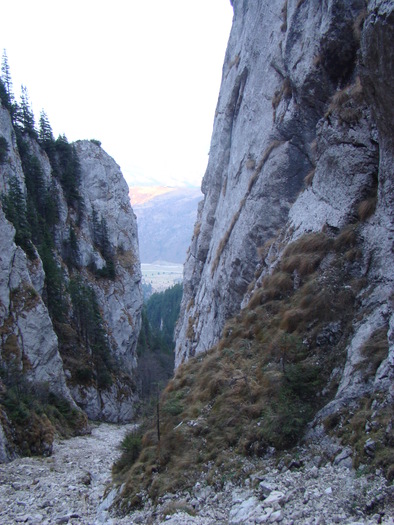 DSC04582