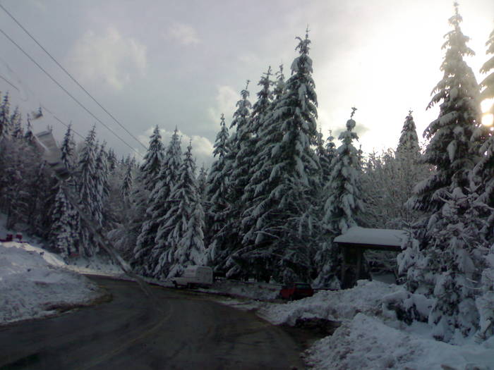 10112007014 - jogging ski tour club 2