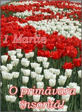 O_primavara_insorita
