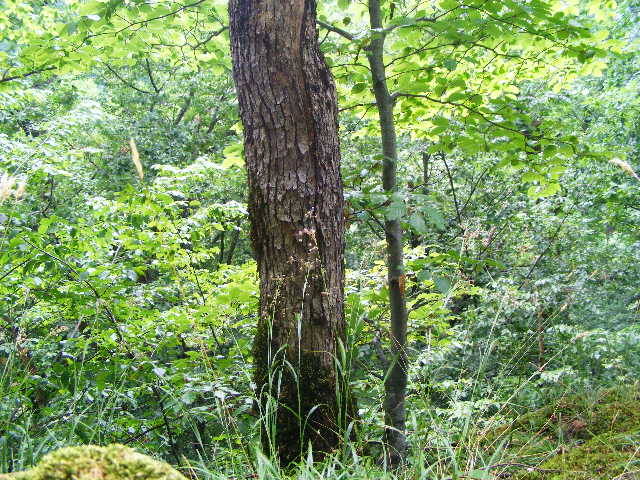 DSCF2568