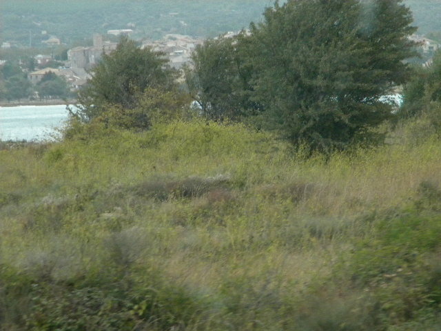 DSCN1575