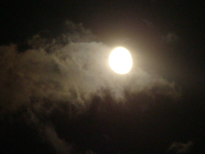 DSC00414
