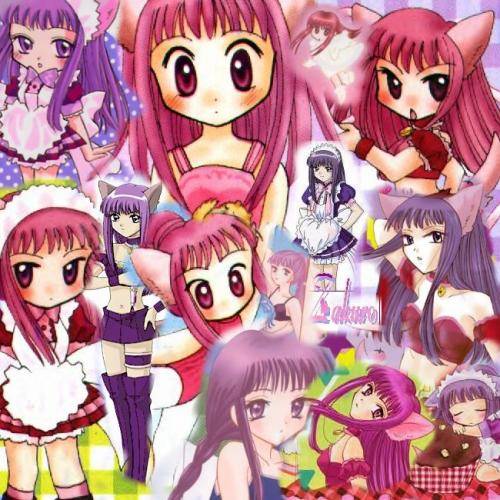 Zakuro-xakeh