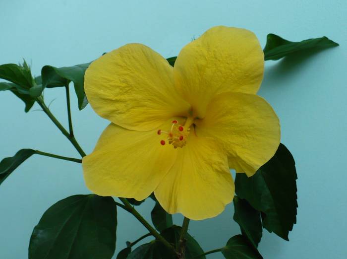 P1150264