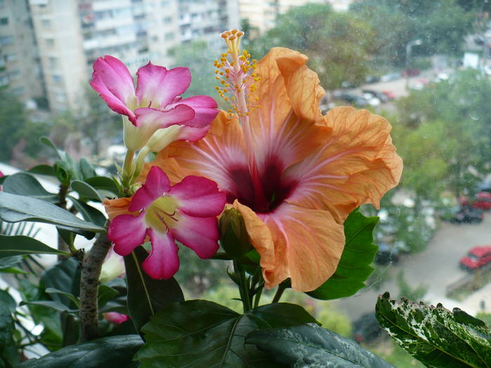 P1140072