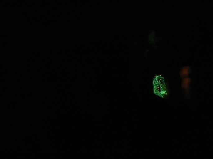 P1030073