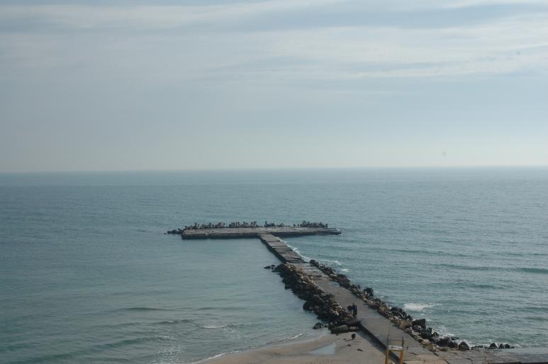 La mare