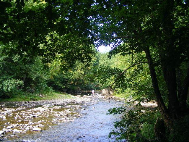 DSCF5031