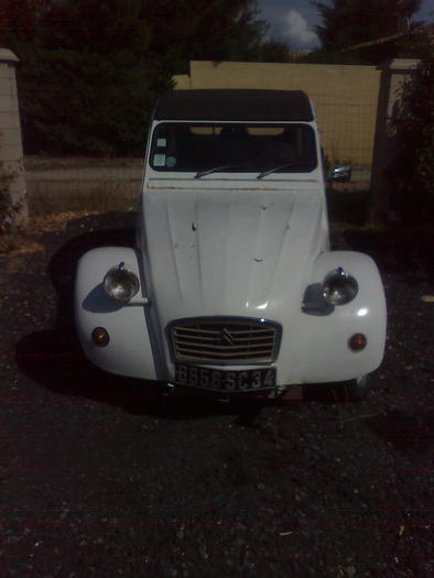 traditii - ApiMondia