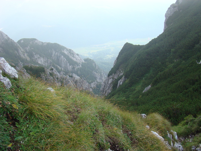 DSC04059 - Piatra Craiului August 2009 Valea Crapaturii