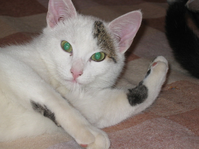 23 dec 2007 021