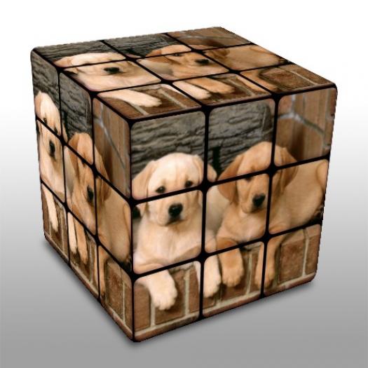 9801b4bbf880f40a_o - poze animale