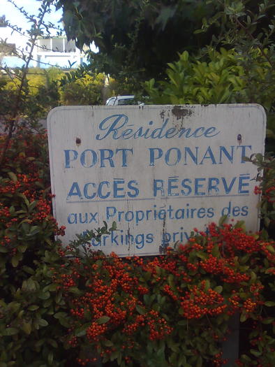 Imagine1320 - ApiMondia