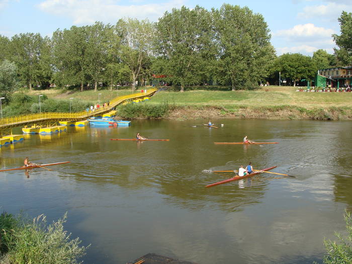 Memorial Sorin Lobont Editia a IX a (2008)