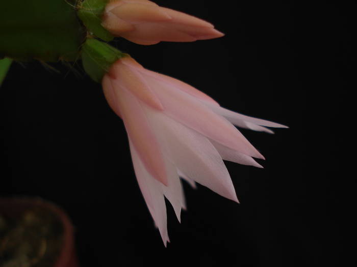 DSC05998